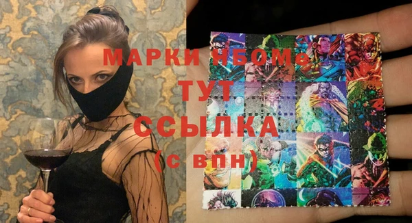 индика Баксан