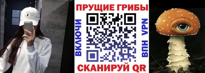 Галлюциногенные грибы ЛСД  Мышкин 